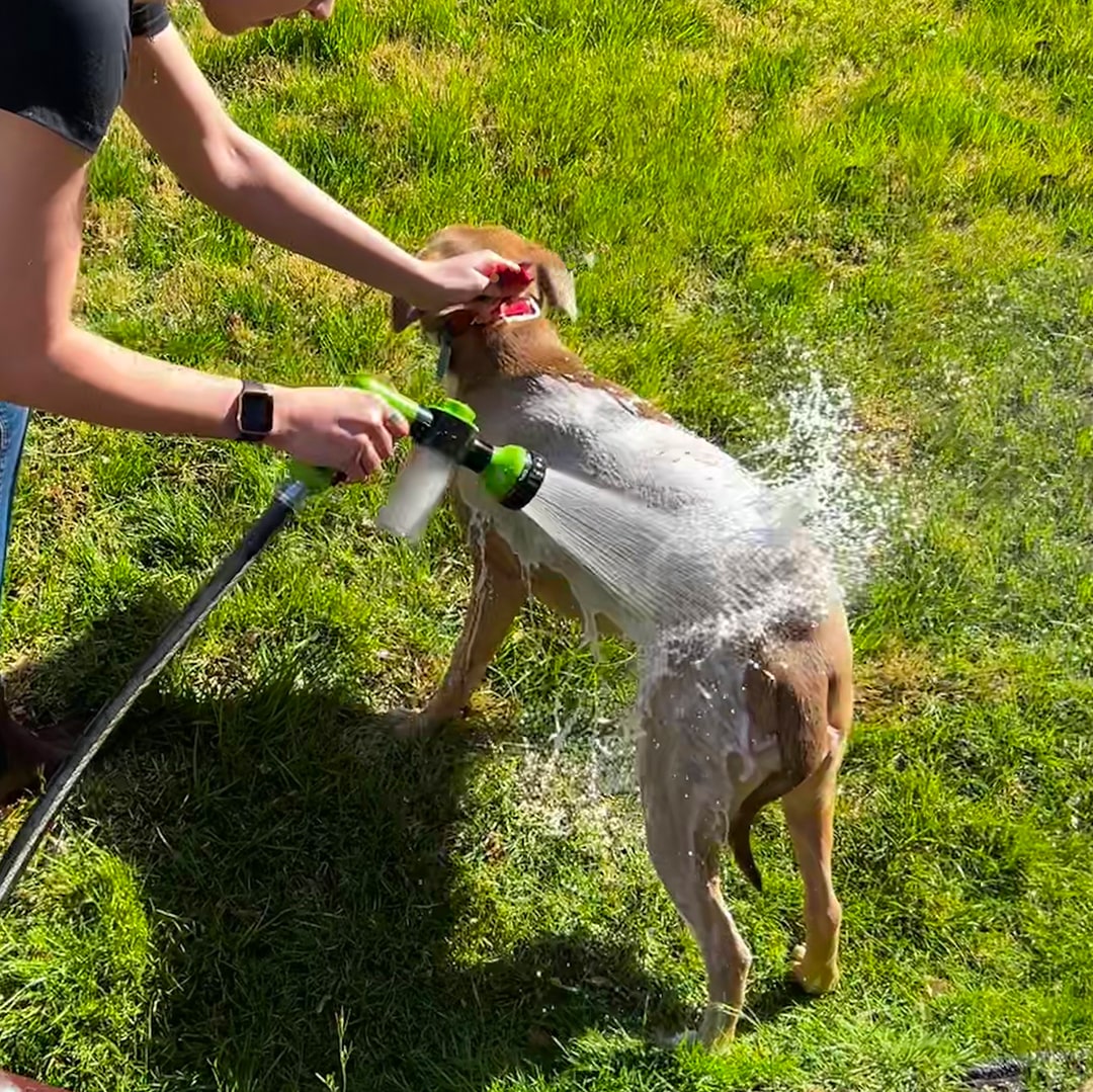 PupJet Pro - Geef je huisdier overal een verfrissende douche