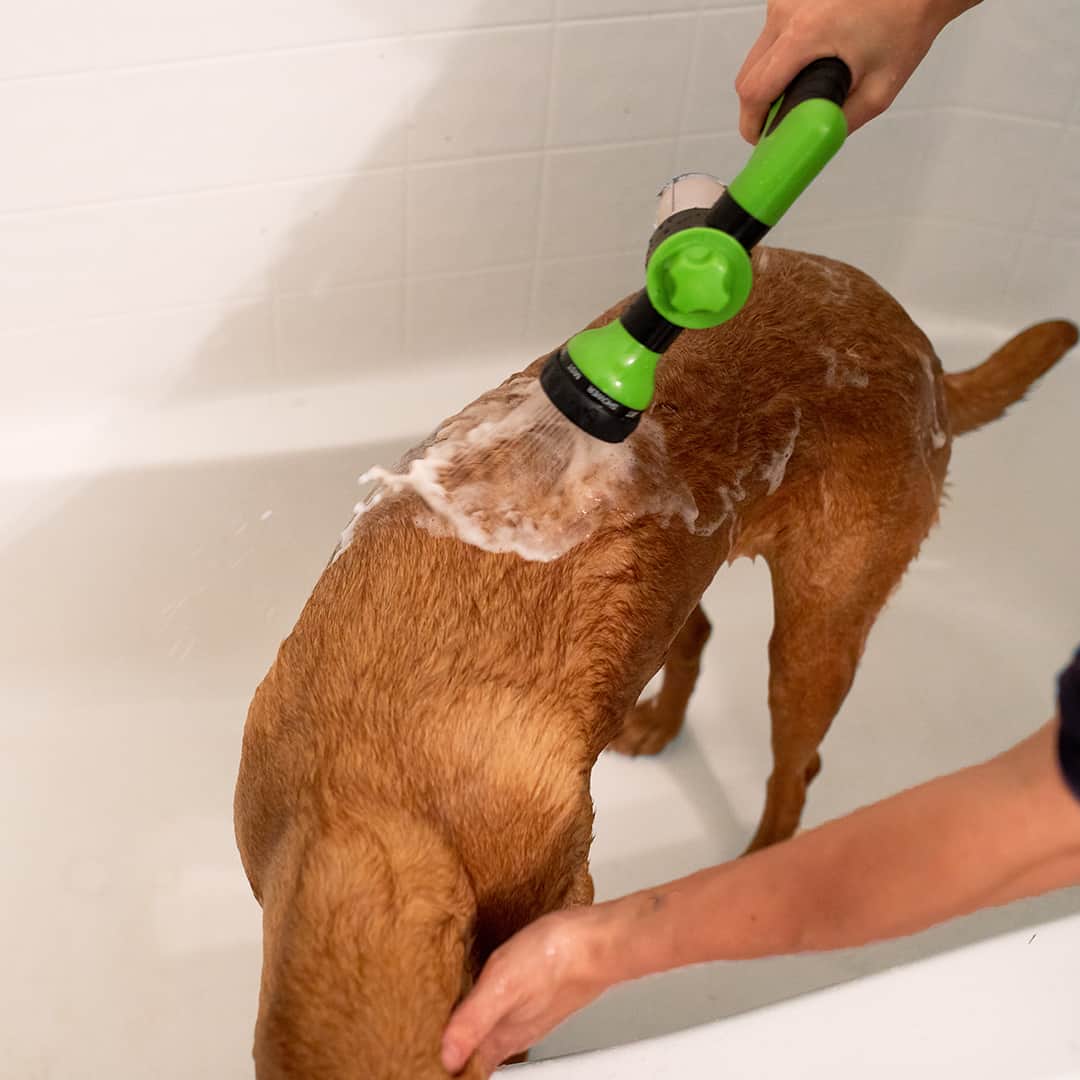 PupJet Pro - Geef je huisdier overal een verfrissende douche